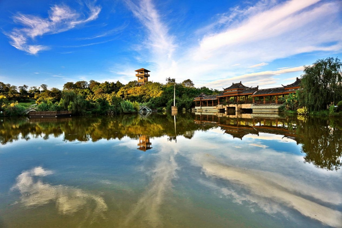 Zhangba Longan Forest